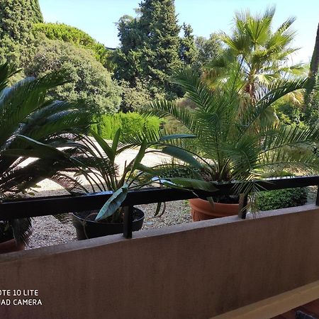 Residence Les Palmiers Nice Luaran gambar