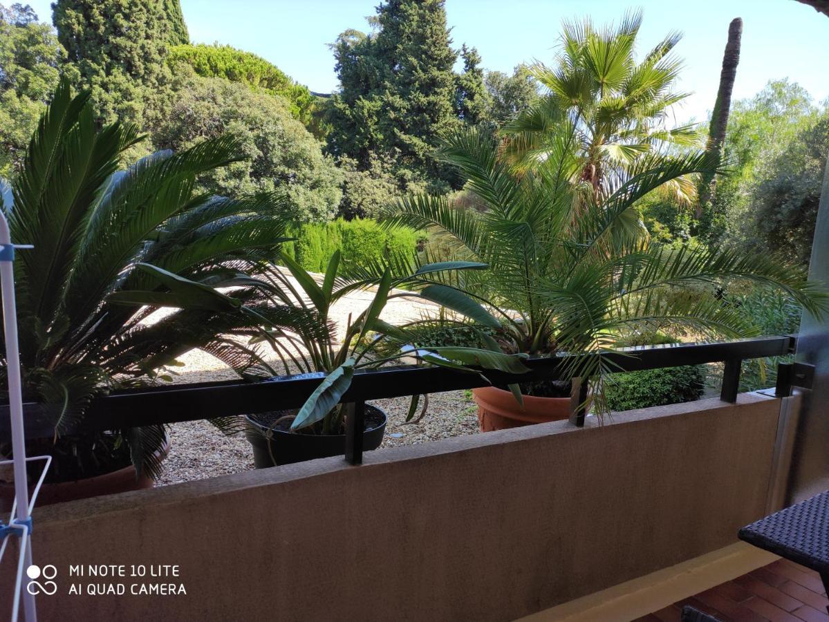 Residence Les Palmiers Nice Luaran gambar